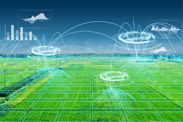 精益生產：溫州種出2.1米高巨型水稻，精益生產怎么看？